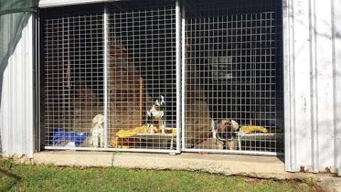 Photo: Country Myals Kennel and Cattery