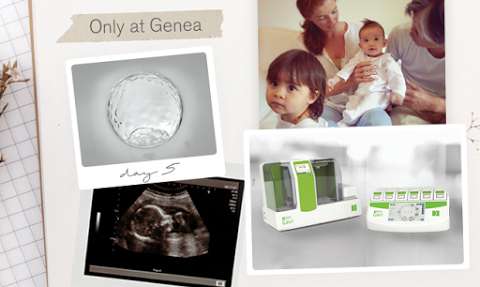 Photo: Genea | Orange | IVF & Fertility Clinic